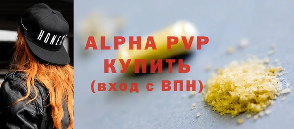 прущие грибы Белокуриха