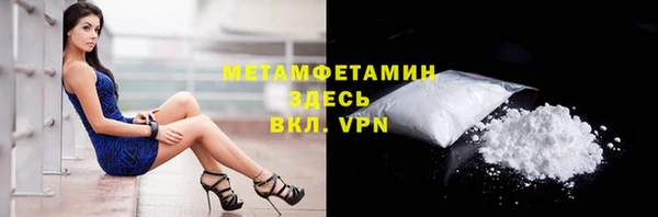 прущие грибы Белокуриха