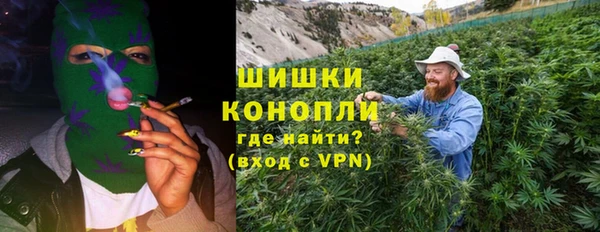 прущие грибы Белокуриха
