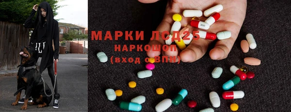 прущие грибы Белокуриха