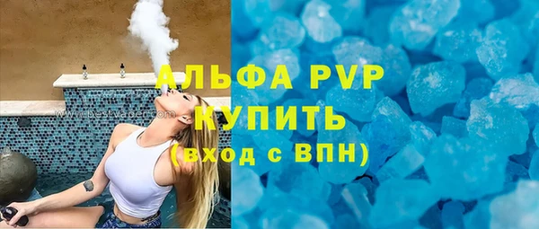 прущие грибы Белокуриха