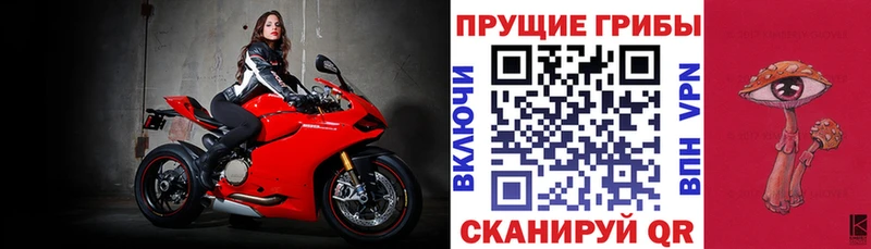 даркнет клад  Демидов  Галлюциногенные грибы ЛСД 
